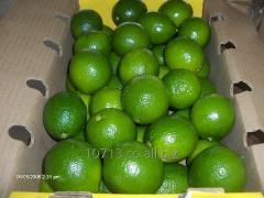 Lemons